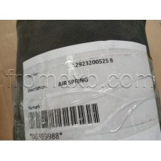 Pneumatic Spring A2923200525